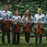VIOLAS